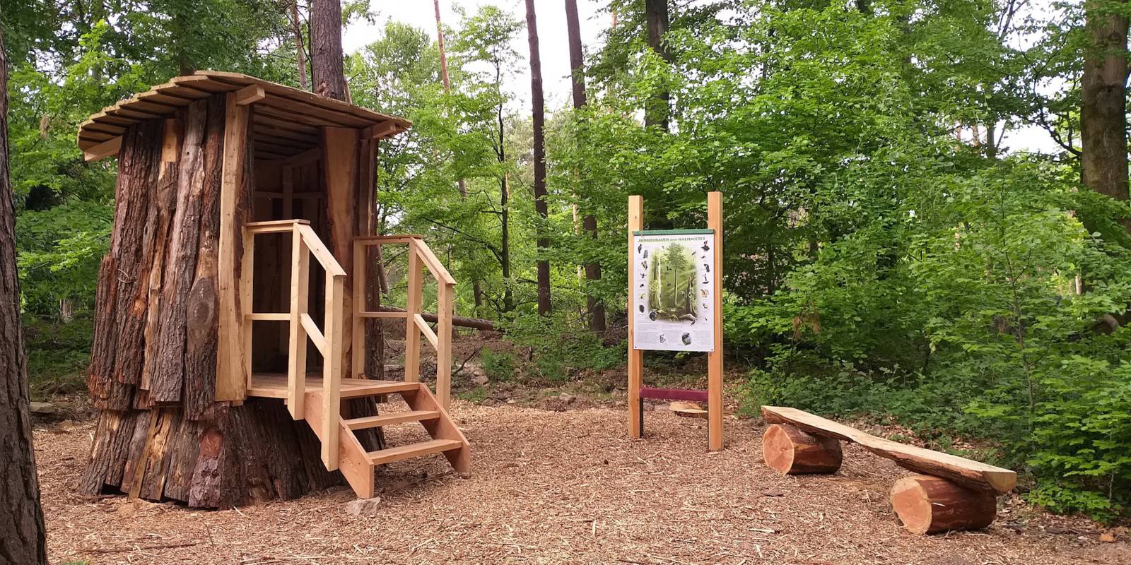 Ausstellungsobjekte aus Holz auf dem Walderlebnispfad Rehburg-Loccum